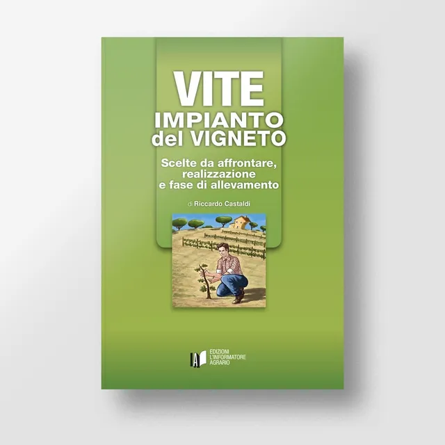 MAD Viticoltura Vite Impianto del vigneto manuale viticoltori