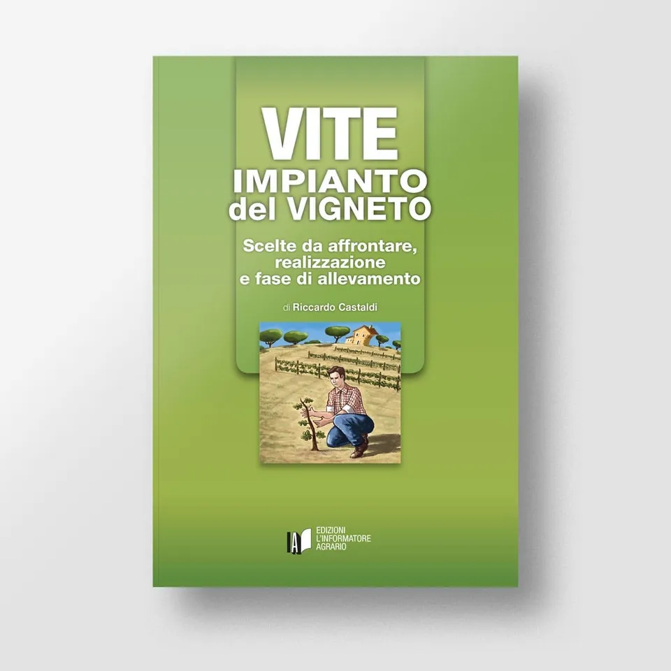 MAD Viticoltura Vite Impianto del vigneto manuale viticoltori