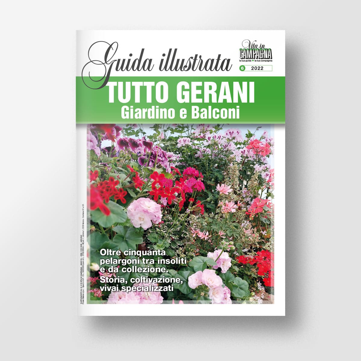 Mad Guide Illustrate Tutto gerani. Giardini e balconi guida pelargoni