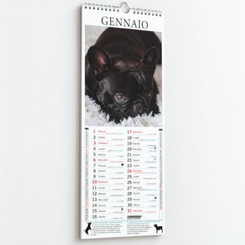 Sprea Bouledogue Francese Long 2027 calendario da parete 14,6x40,8