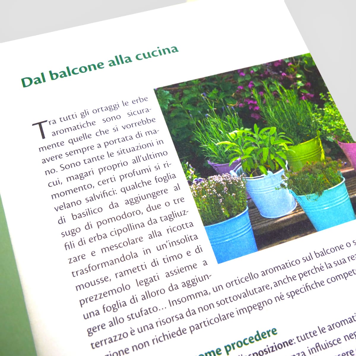 MAD Coltiva&Cucina Basilico ed erbe aromatiche libro coltivazione