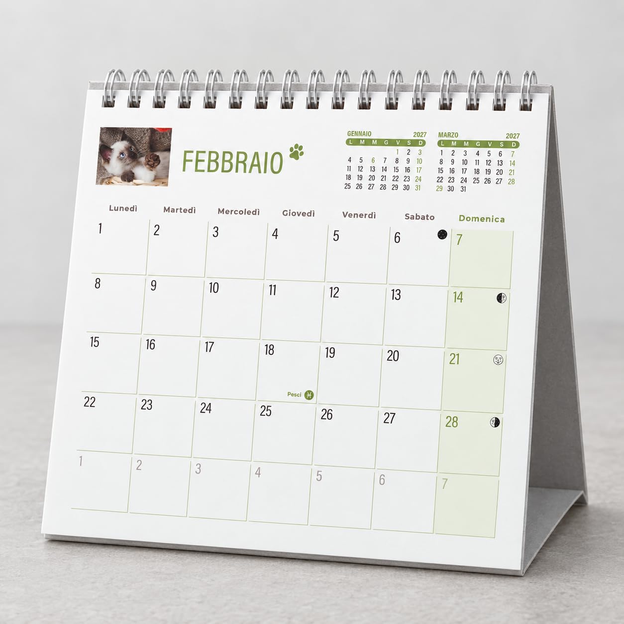 Sprea Gatti 2027 calendario da tavolo fotografico 16,5x15