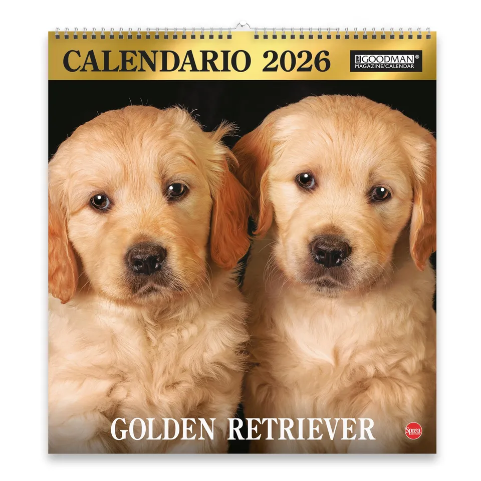 Sprea Golden Retriever Magnum 2026 calendario parete