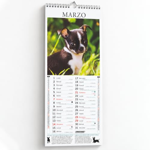 Sprea Chihuahua 2027 calendario da parete 14,6x40,8 cm