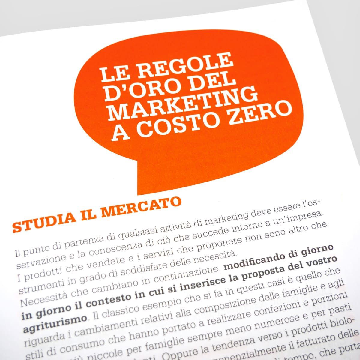 Mad Multifunzionalità Agriturismo marketing a costo zero libro