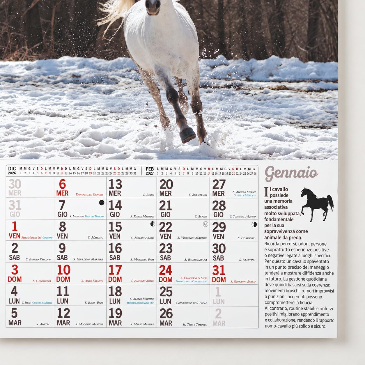 Sprea Cavalli Magnum 2027 calendario da parete 12 mesi