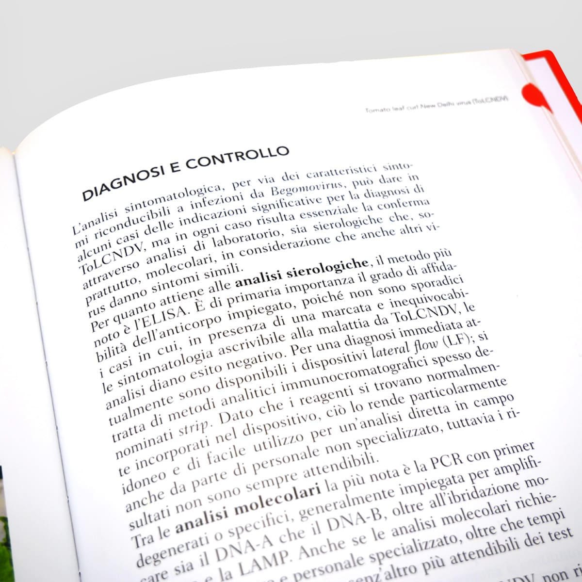 Mad Difesa Avversità del pomodoro manuale tecnico