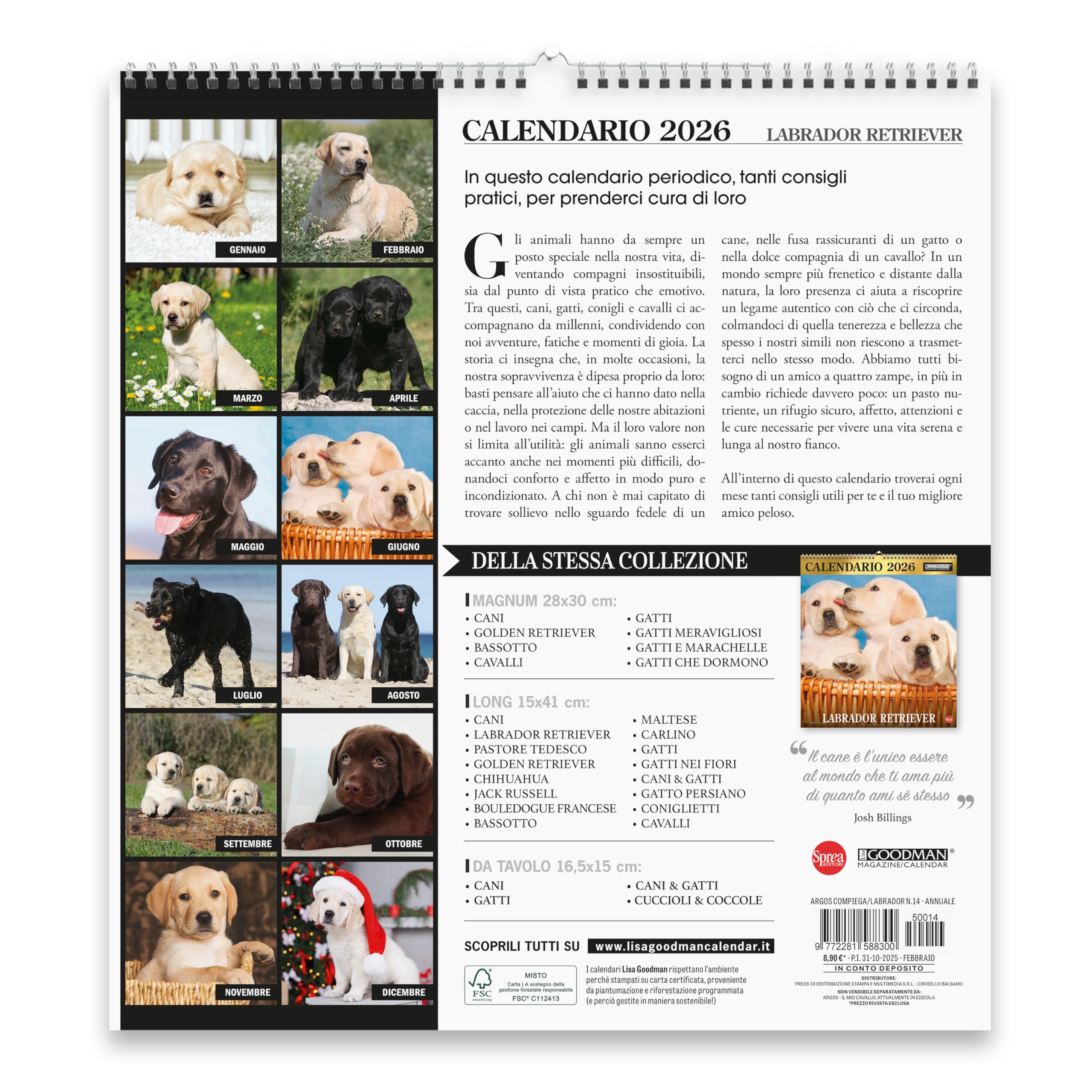 Sprea Labrador Magnum 2026 calendario da parete cuccioli