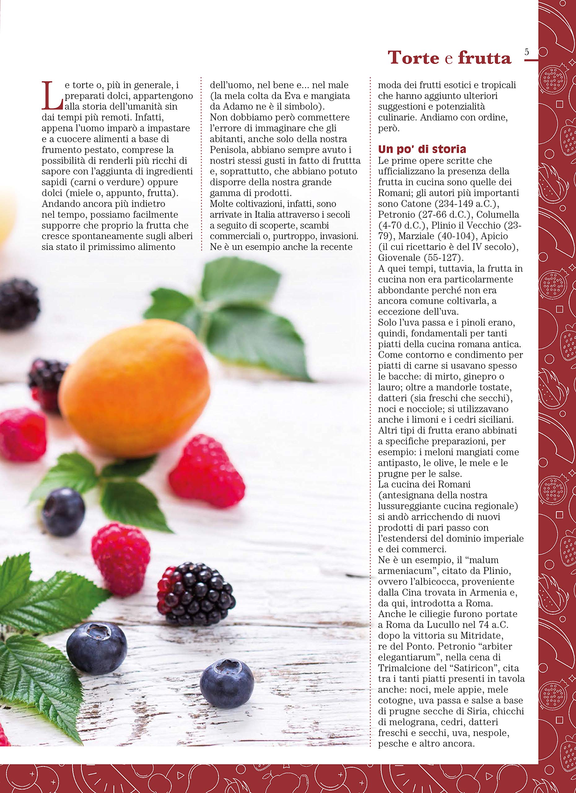 Sprea Torte alla frutta rivista numero singolo cucina