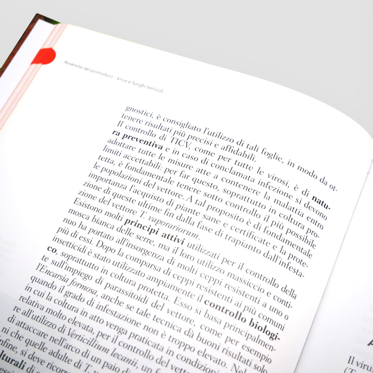 Mad Difesa Avversità del pomodoro manuale tecnico