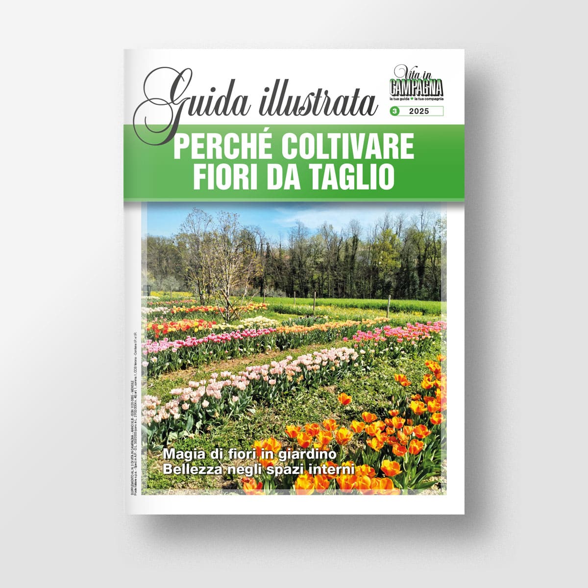 Mad Guide Illustrate Perché coltivare fiori da taglio guida