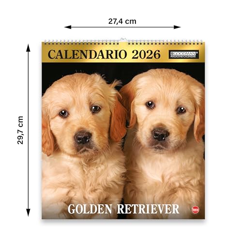 Sprea Golden Retriever Magnum 2026 calendario parete