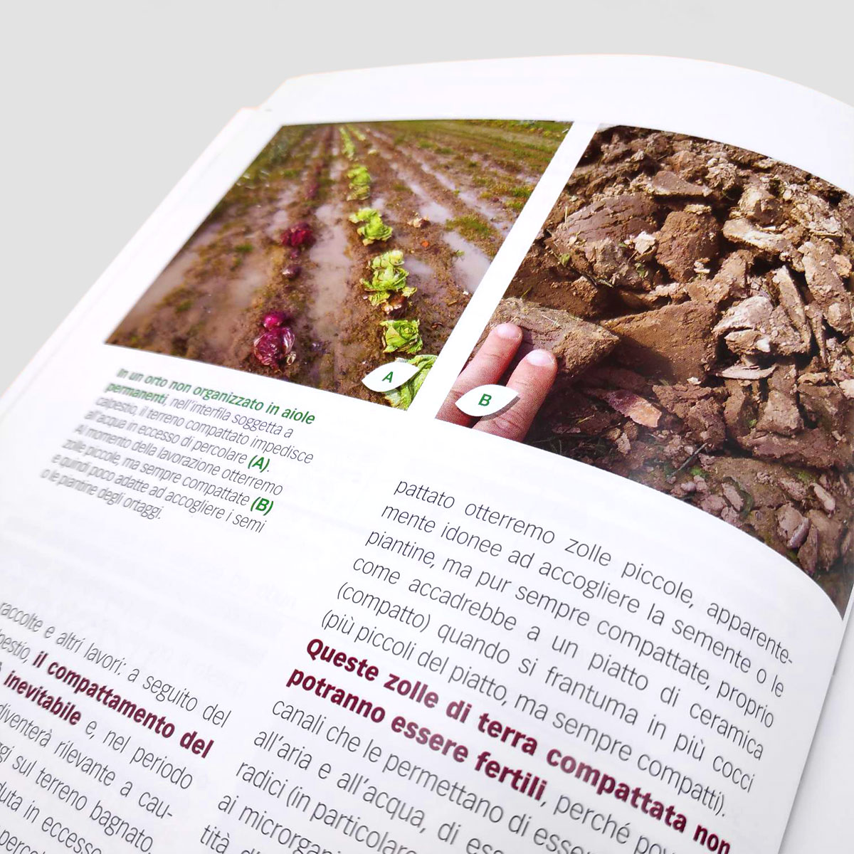 Mad Orticoltura Orto Biologico Tecniche di coltivazione libro