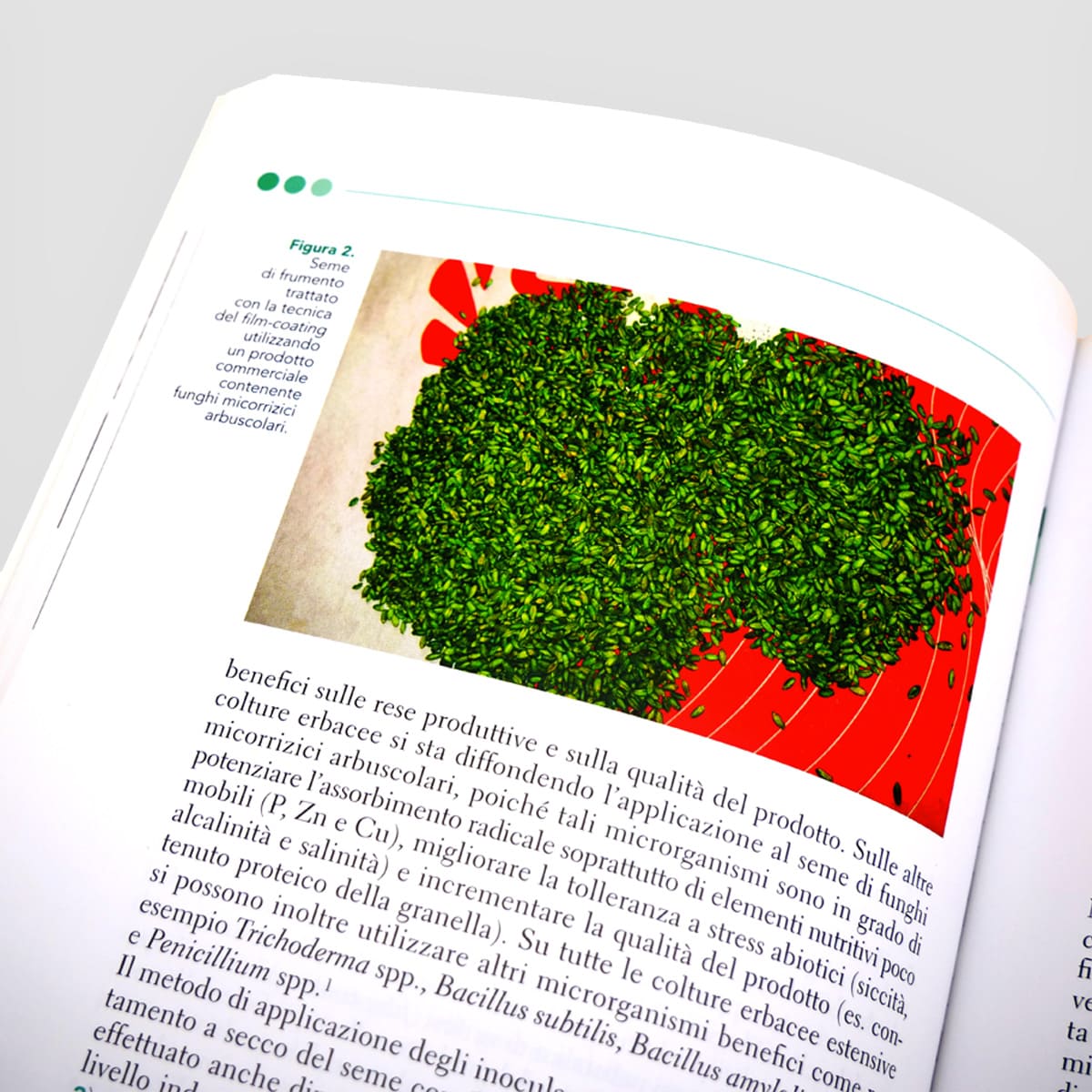 Mad Orticoltura Biostimolanti per agricoltura sostenibile manuale