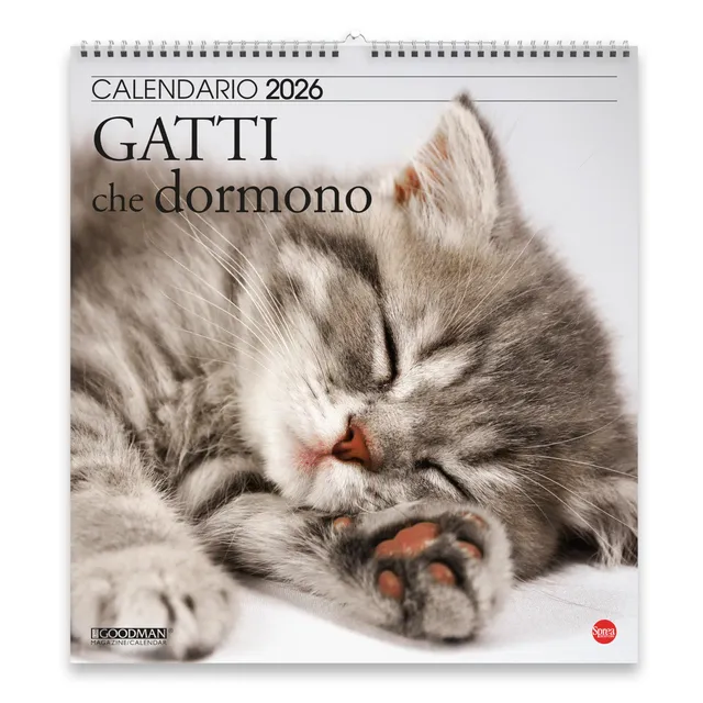 Sprea Gatti che Dormono Magnum 2026 calendario parete