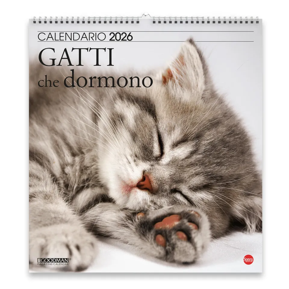Sprea Gatti che Dormono Magnum 2026 calendario parete