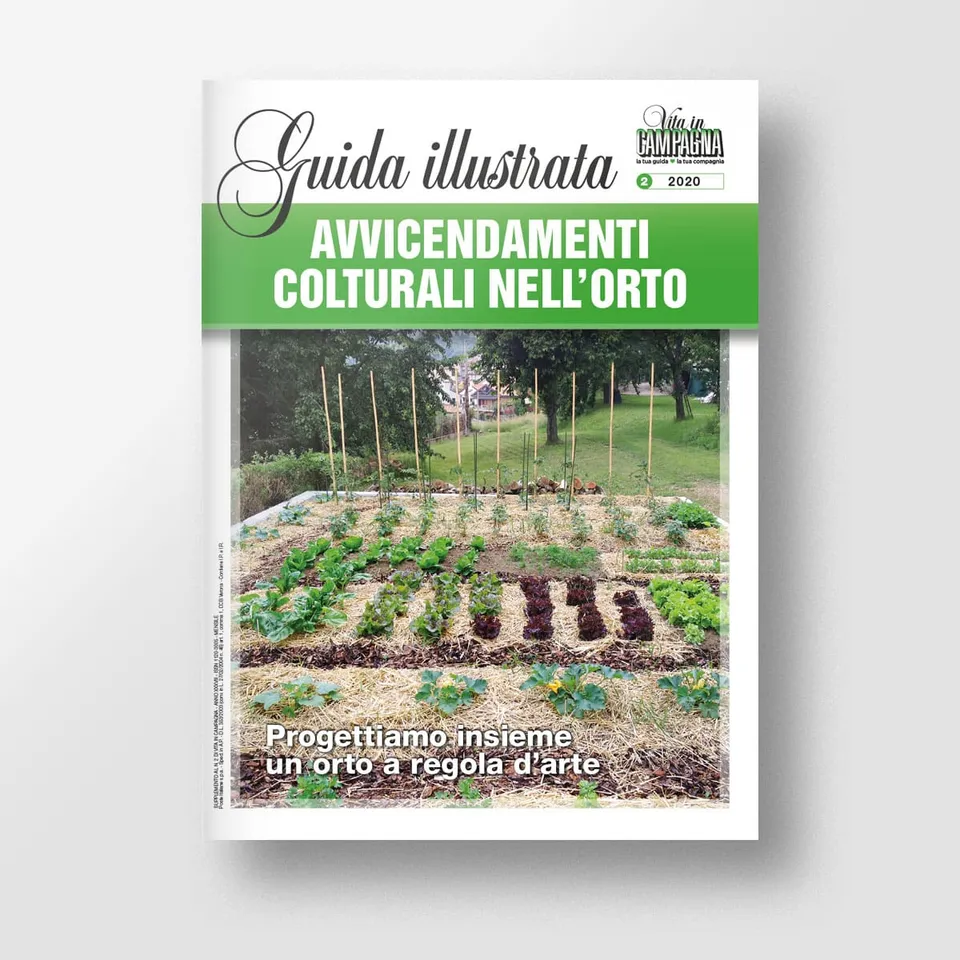 Mad Orticoltura Avvicendamenti colturali nell'orto guida illustrata