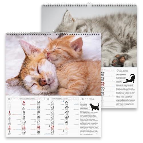 Sprea Gatti che Dormono Magnum 2026 calendario parete