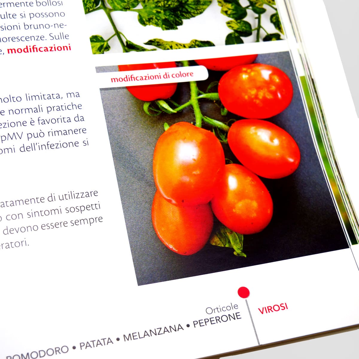 MAD Difesa Pomodoro Patata Melanzana Peperone Manuale Singolo