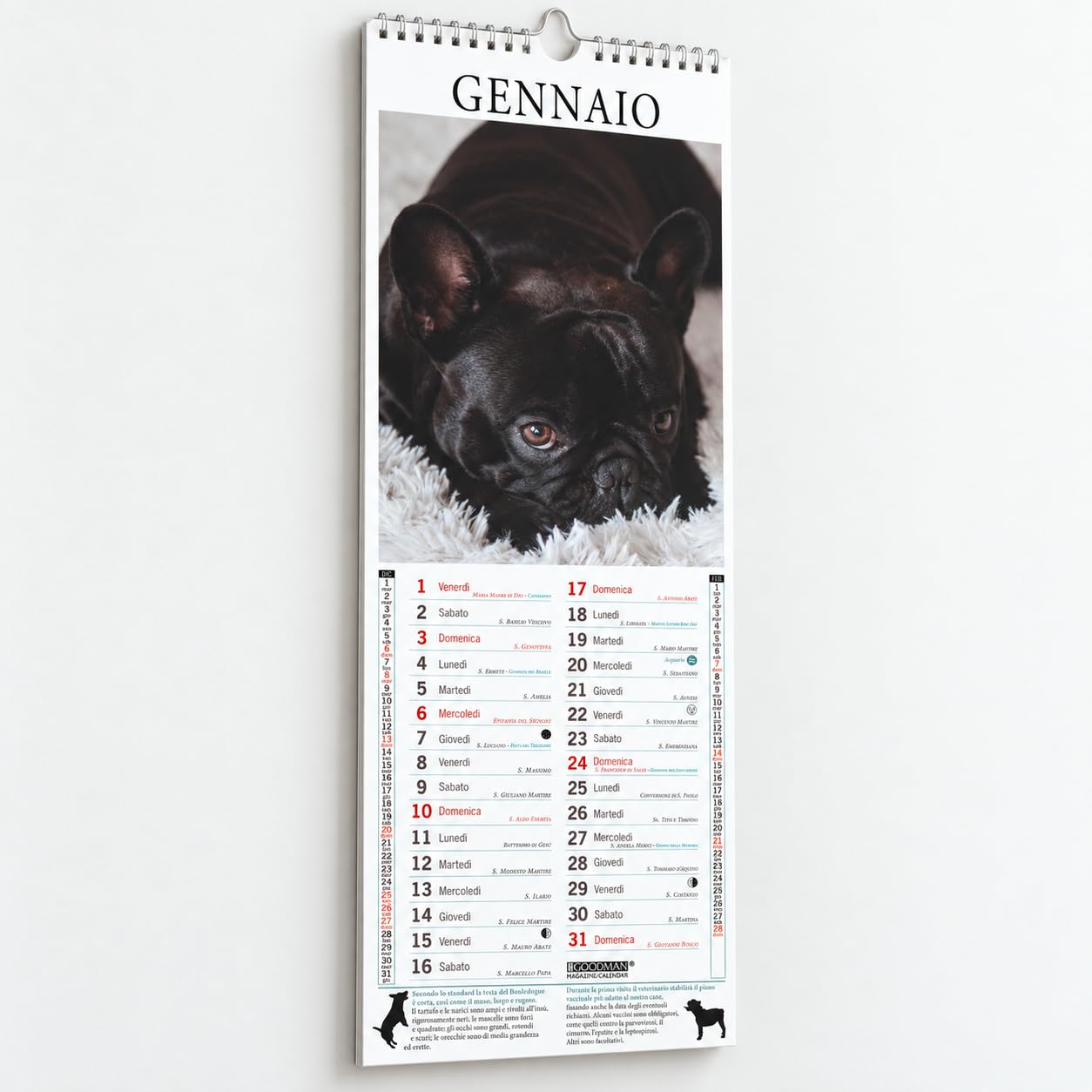 Sprea Bouledogue Francese Long 2027 calendario da parete 14,6x40,8