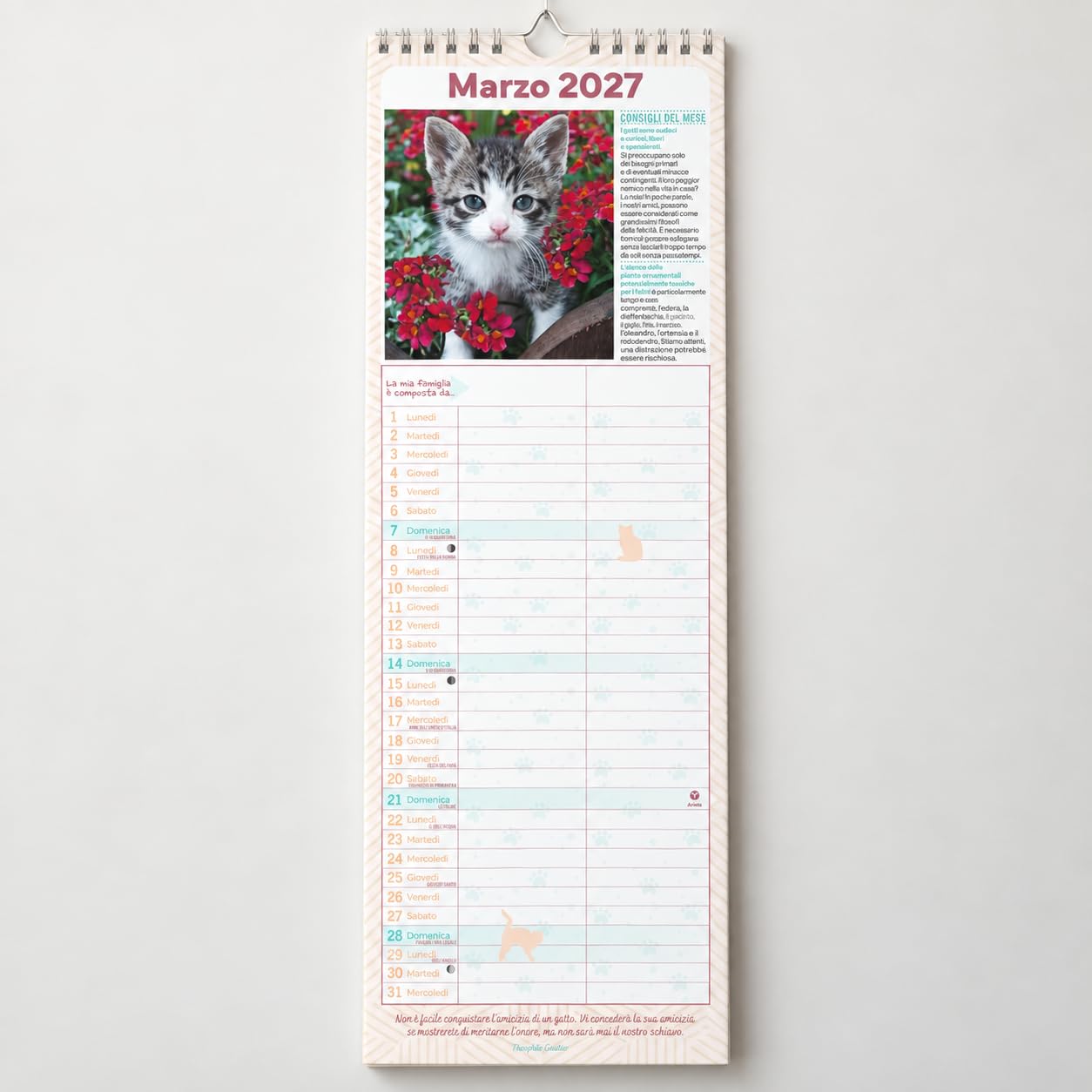 Sprea Gatti 2027 calendario agenda da muro 15x50