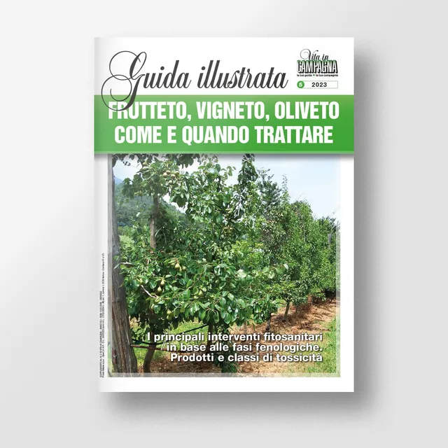 MAD Difesa Frutteto oliveto vigneto guida trattamenti