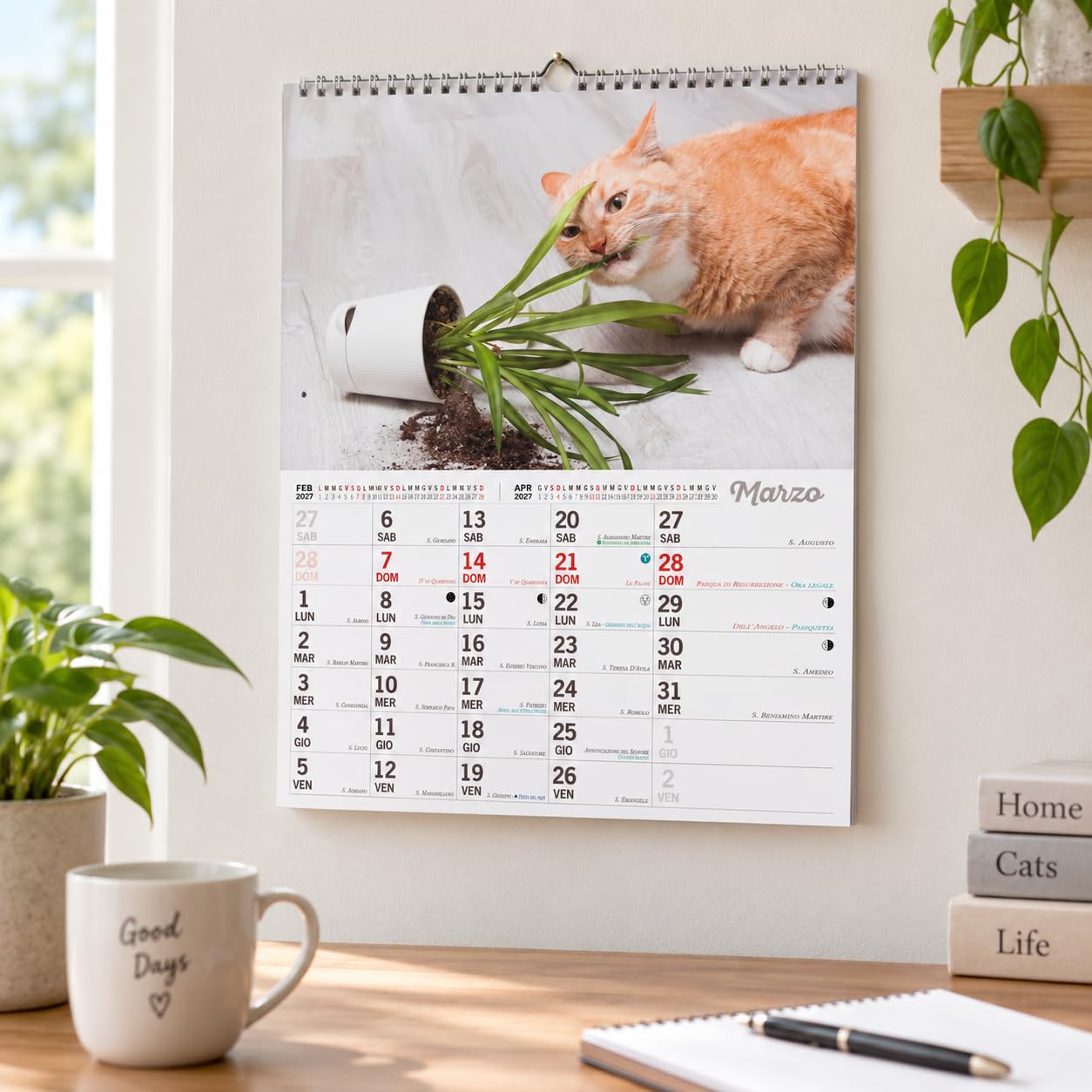Sprea Gatti Marachelle 2027 calendario da parete 28x30