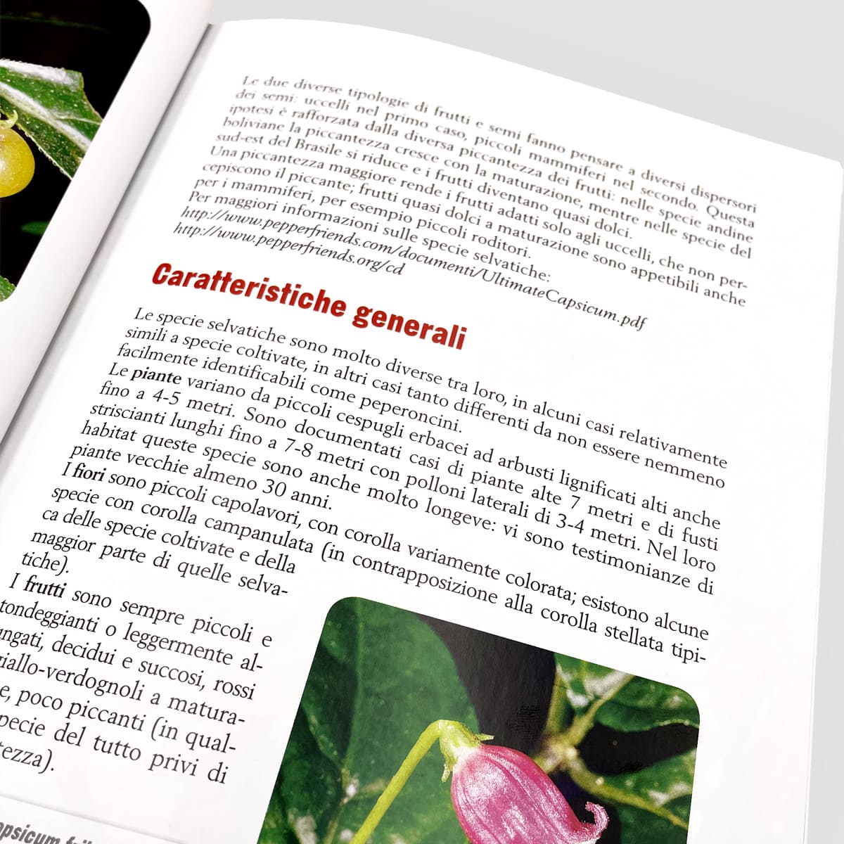 Mad Cucina Peperoncino libro 24 varietà numero singolo