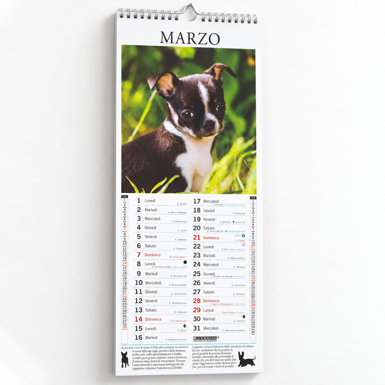 Sprea Chihuahua 2027 calendario da parete 14,6x40,8 cm