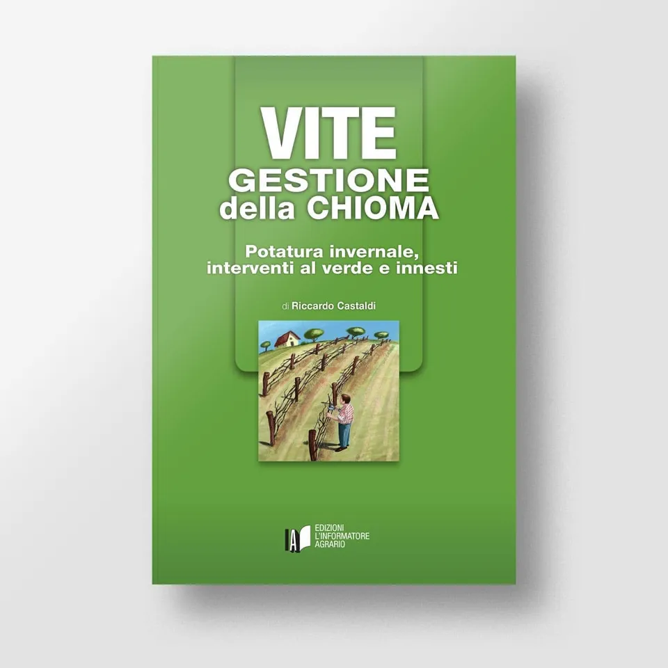 MAD Viticoltura Vite Gestione chioma manuale potatura vite