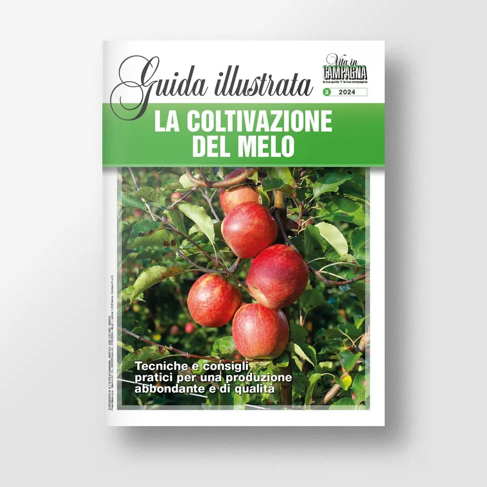Mad Guide Illustrate La coltivazione del melo guida