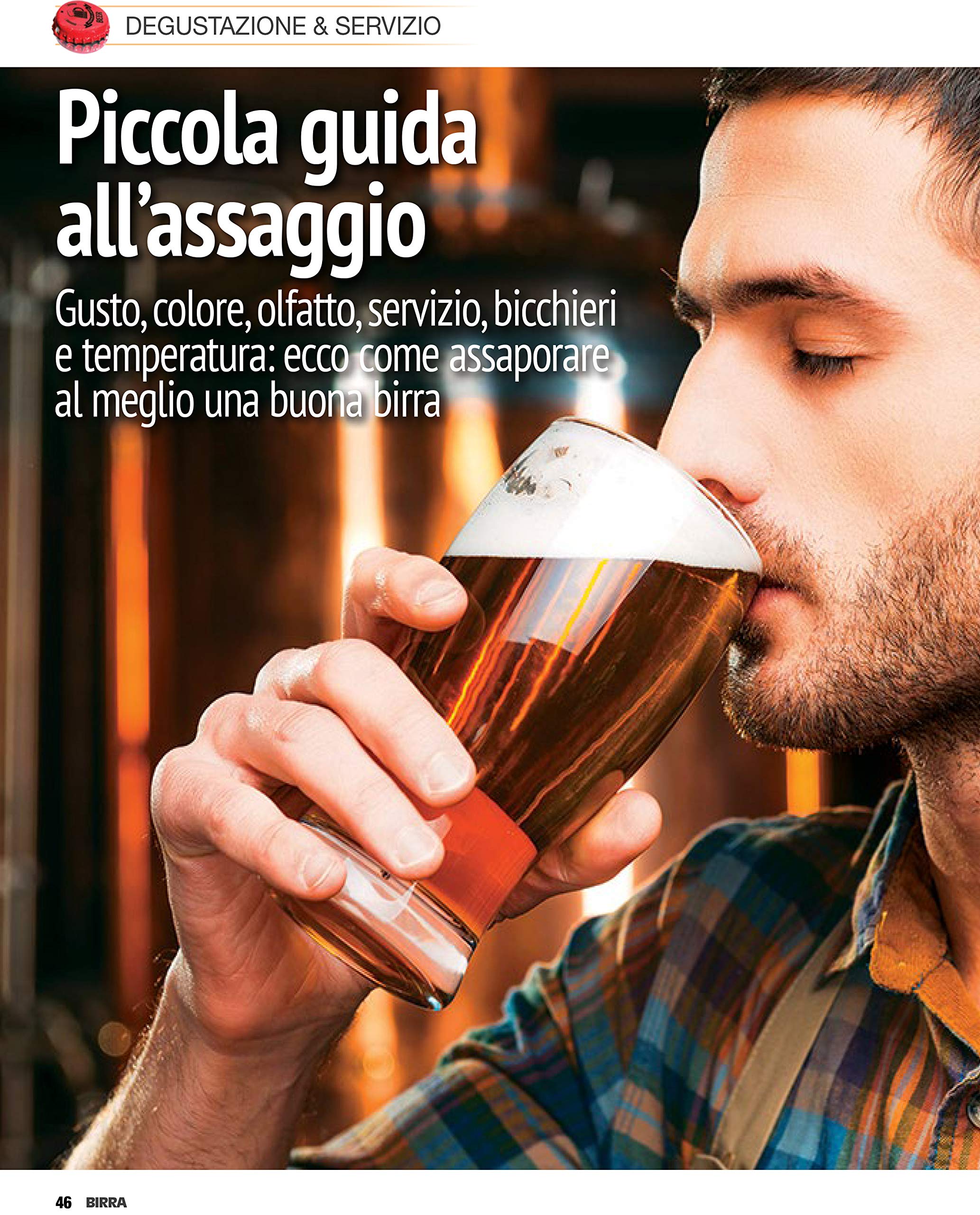 Sprea Speciali Birra Il Manuale Completo rivista numero singolo