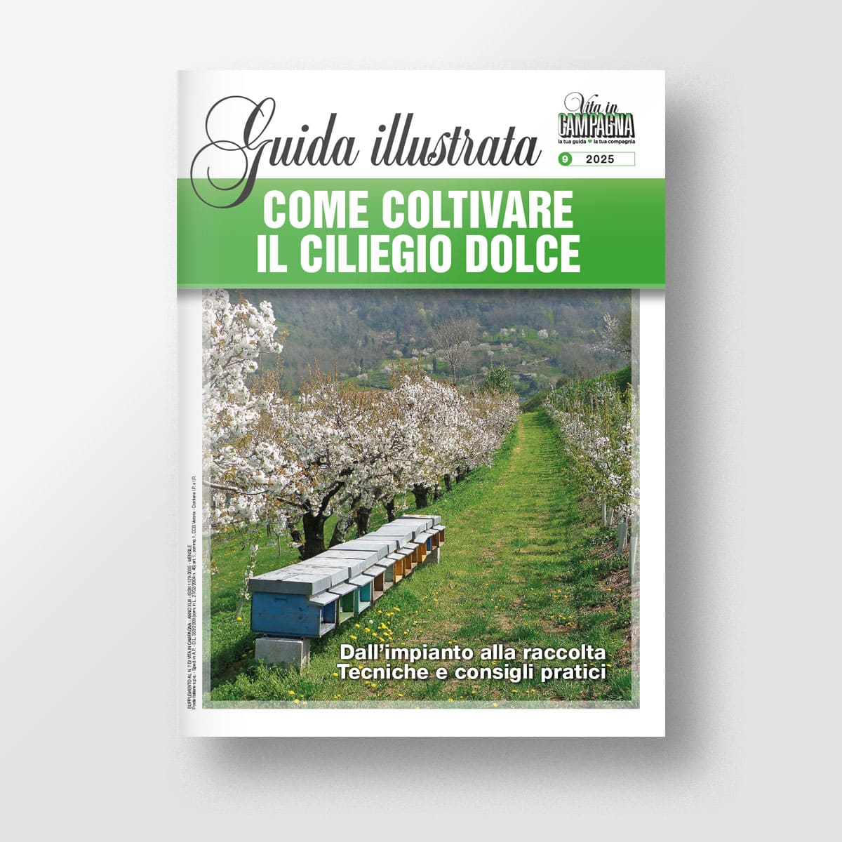 Mad Guide Illustrate Come coltivare il ciliegio dolce guida