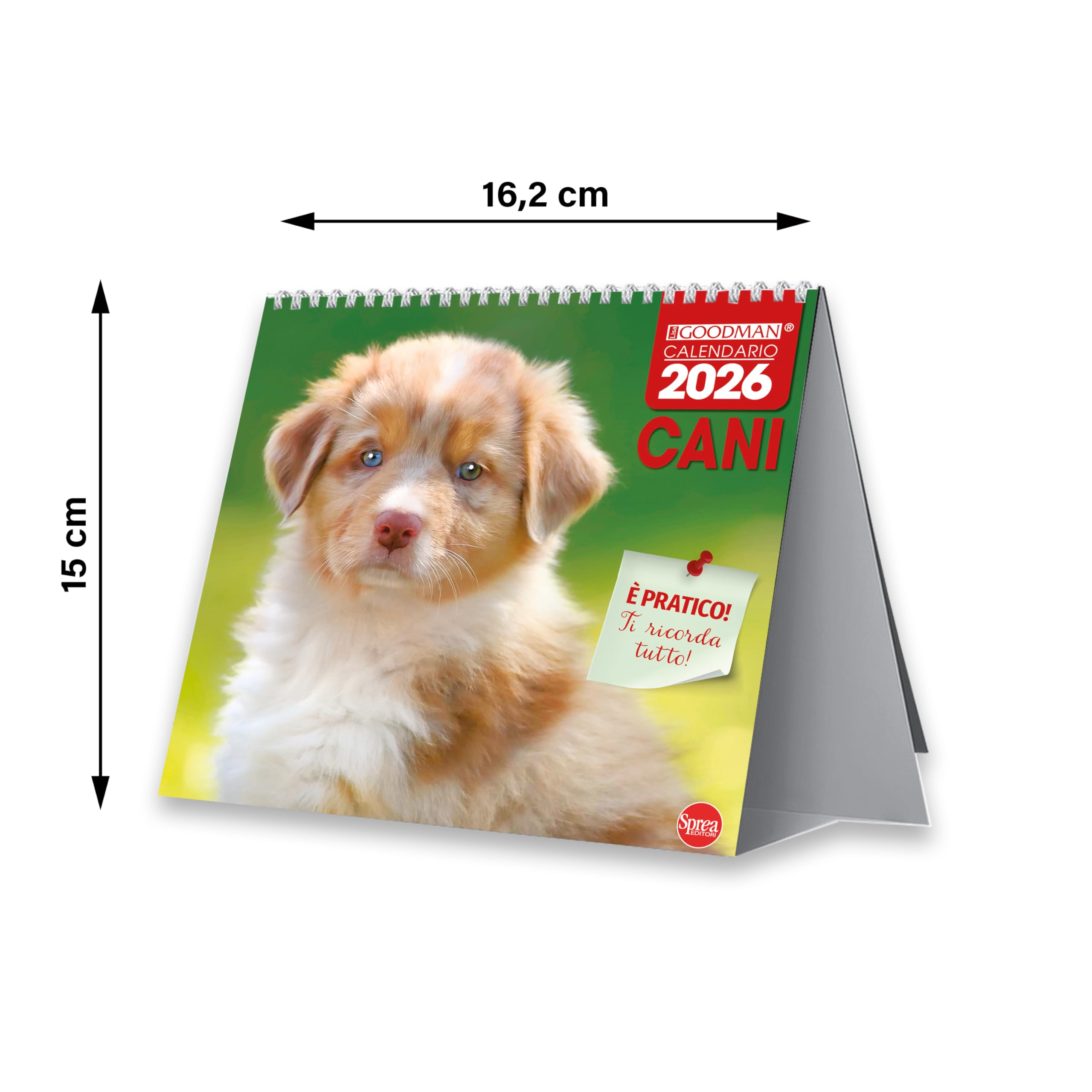 Sprea Cani 2026 calendario da tavolo fotografico 16,5x15