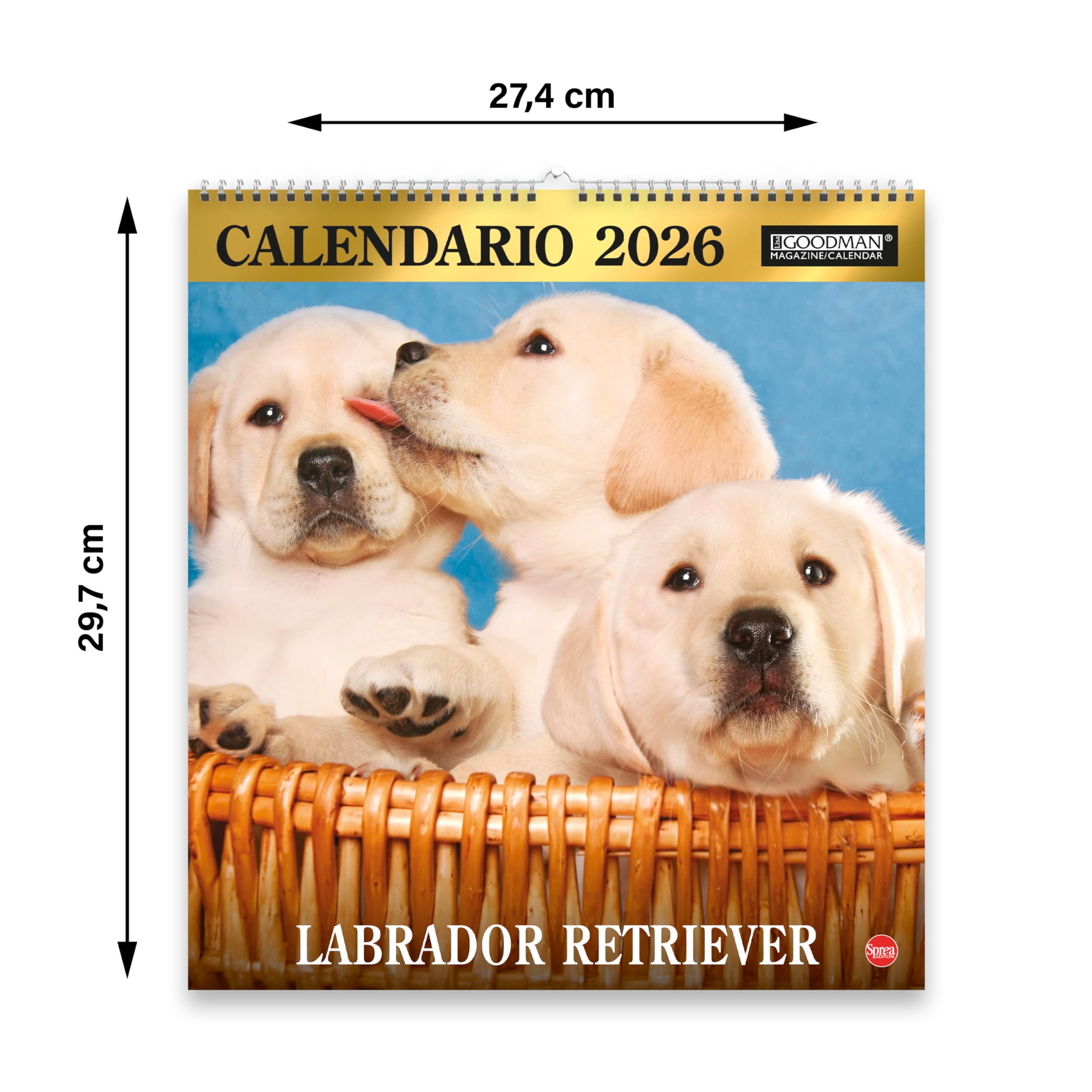 Sprea Labrador Magnum 2026 calendario da parete cuccioli