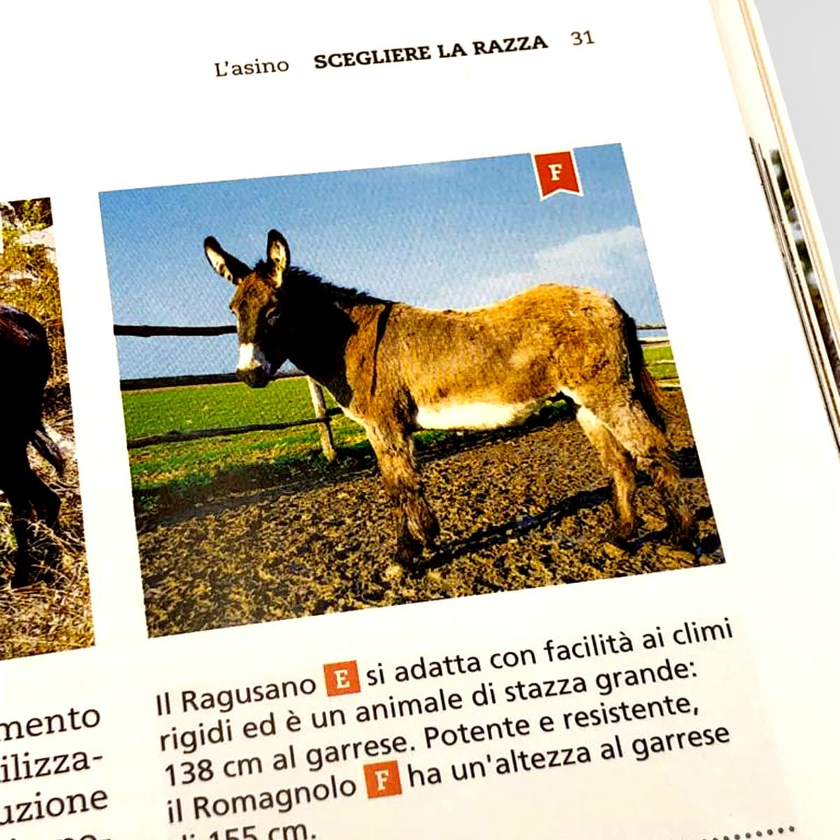 Mad Allevamenti L’Asino libro allevamento trekking pet therapy
