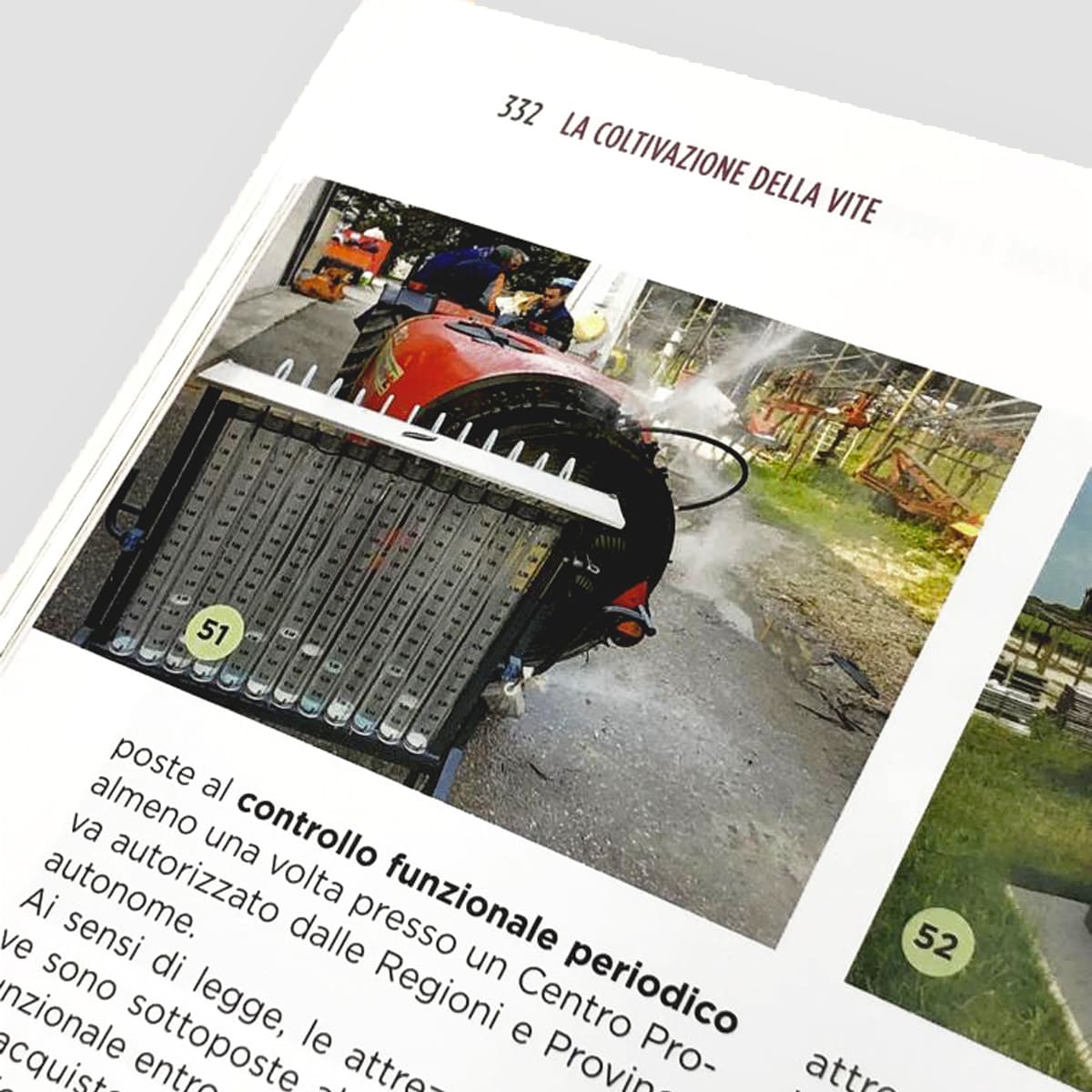 MAD Viticoltura Coltivare la vite manuale 2024 con videolezioni