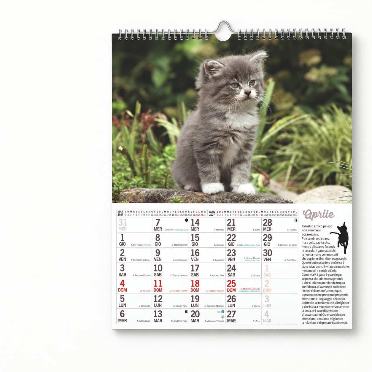 Sprea Calendario Gatti Magnum 2027 calendario parete gatti
