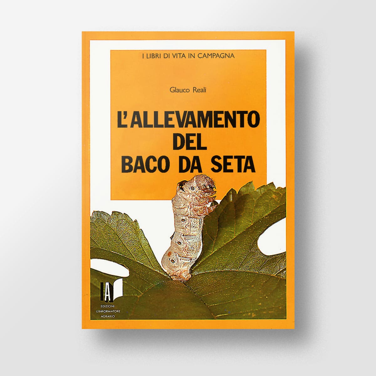 Mad Allevamenti Baco da seta libro allevamento bachi
