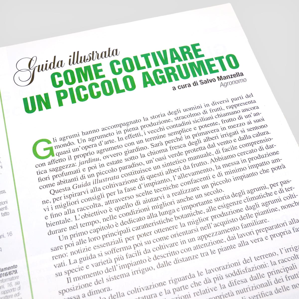 MAD Guide Illustrate Come coltivare piccolo agrumeto guida