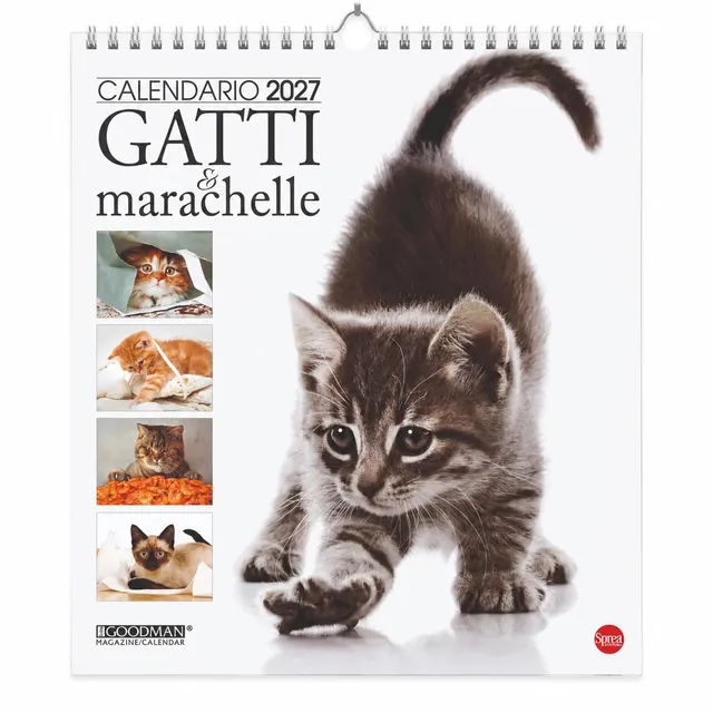 Sprea Gatti Marachelle 2027 calendario da parete 28x30