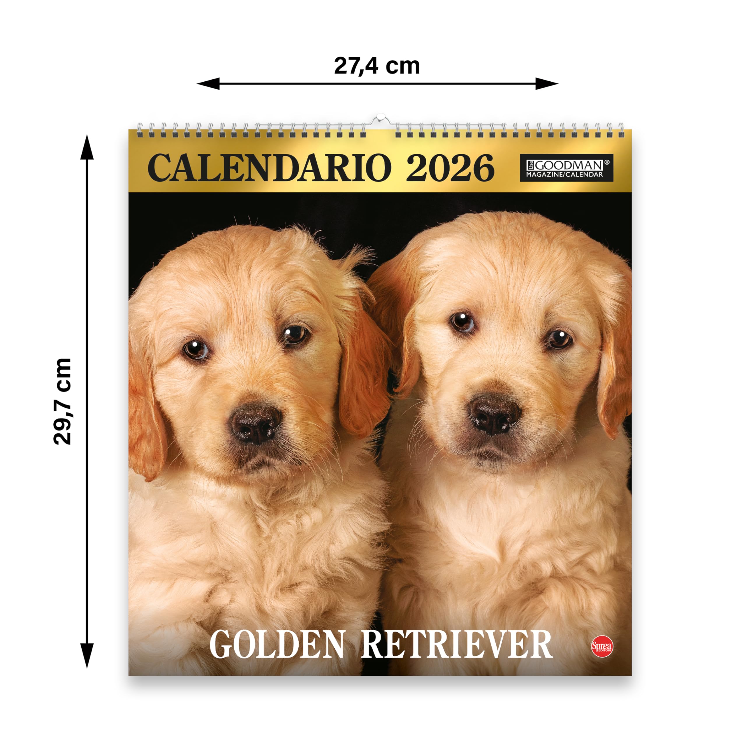 Sprea Golden Retriever Magnum 2026 calendario parete
