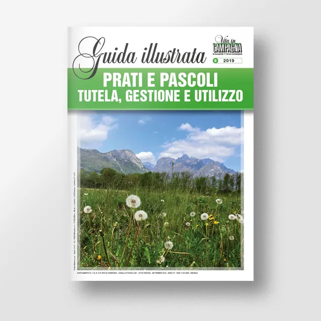 Mad Guide Illustrate Prati e pascoli guida foraggio e gestione