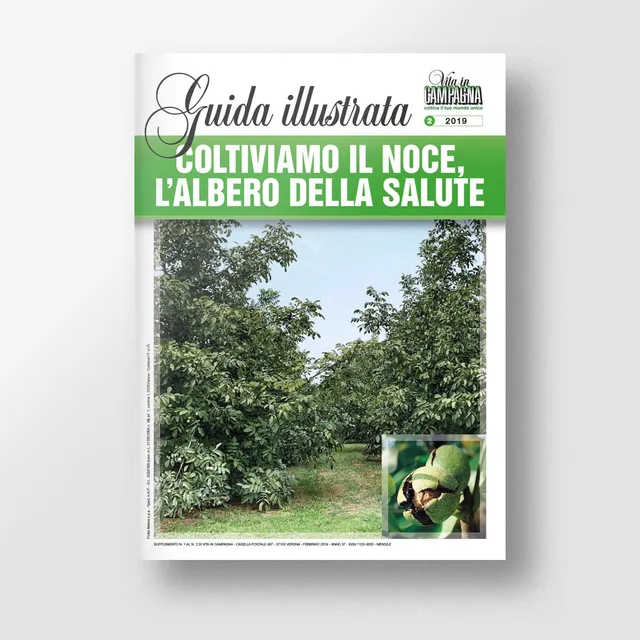 Mad Frutticoltura Coltiviamo il noce albero della salute guida