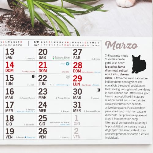 Sprea Gatti Marachelle 2027 calendario da parete 28x30