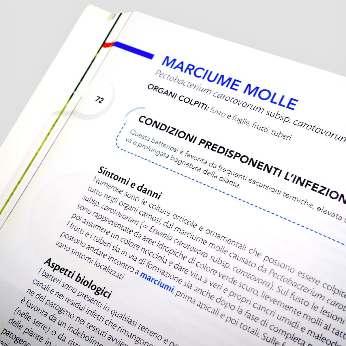 MAD Difesa Pomodoro Patata Melanzana Peperone Manuale Singolo