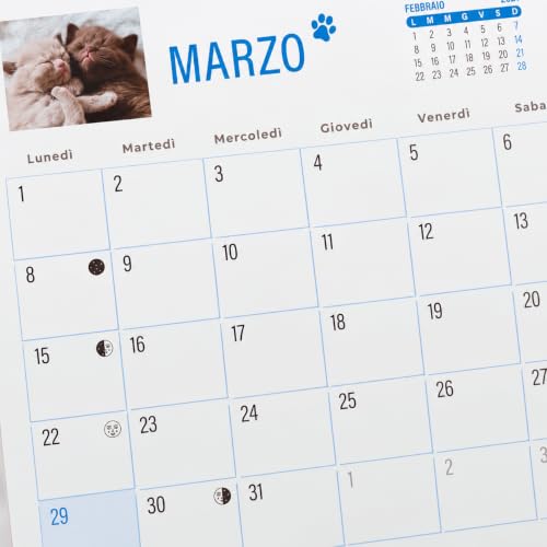 Sprea Gatti 2027 calendario da tavolo fotografico 16,5x15