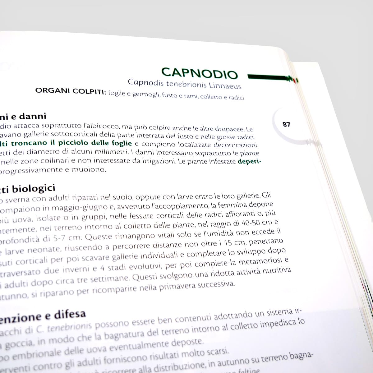MAD Difesa Pesco Albicocco Ciliegio Susino Manuale Numero Singolo