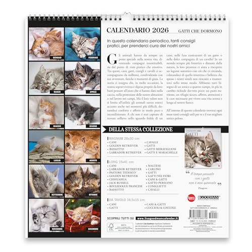 Sprea Gatti che Dormono Magnum 2026 calendario parete