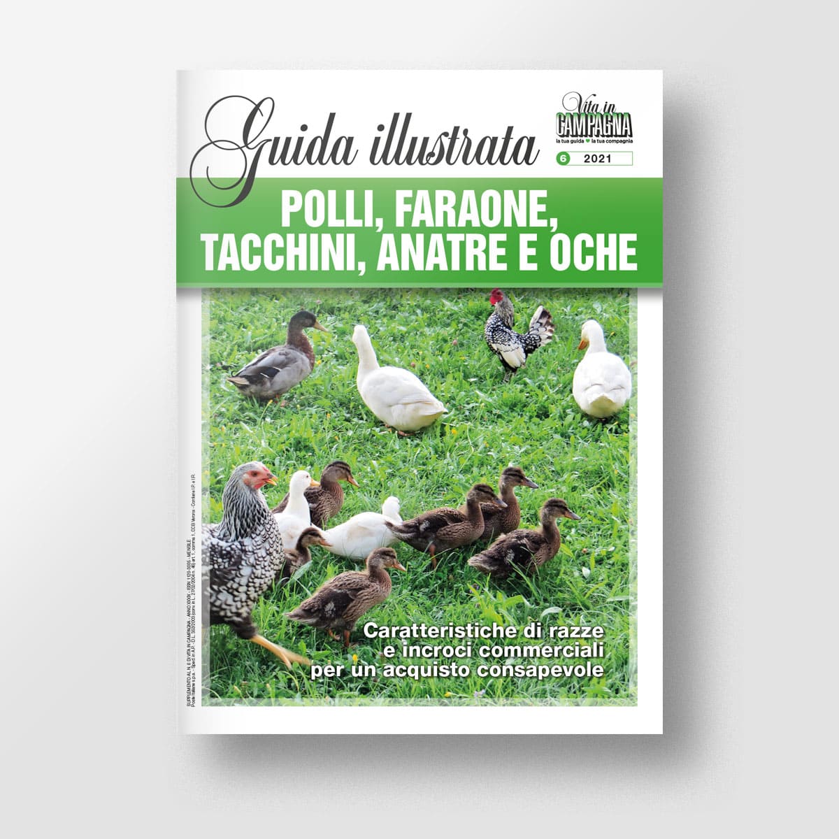 Mad Guide Polli faraone tacchini libro 50 razze avicole